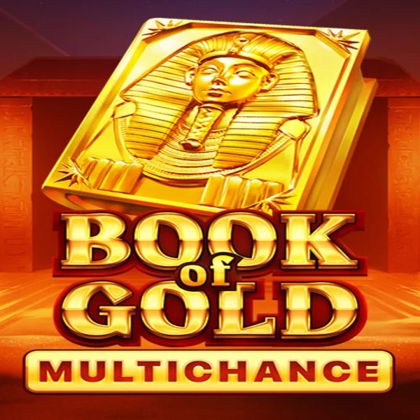 Slots logo of Book of Gold Multichance from Playson at Rodeo Casino